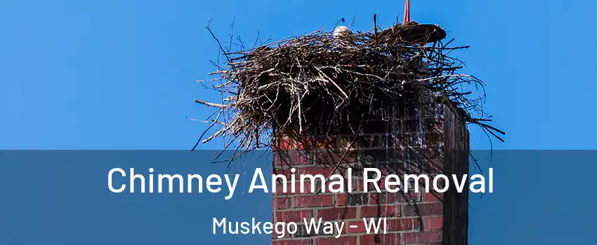 Chimney Animal Removal Muskego Way - WI