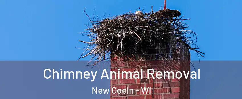 Chimney Animal Removal New Coeln - WI