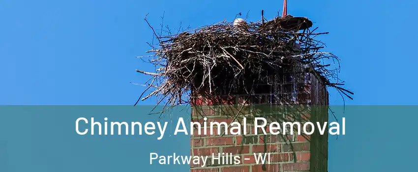 Chimney Animal Removal Parkway Hills - WI