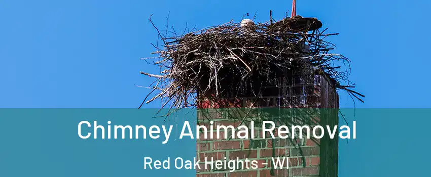 Chimney Animal Removal Red Oak Heights - WI