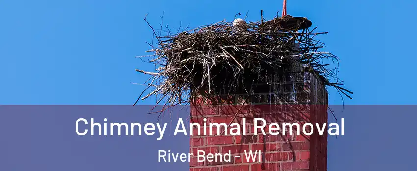 Chimney Animal Removal River Bend - WI