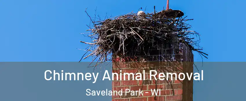 Chimney Animal Removal Saveland Park - WI