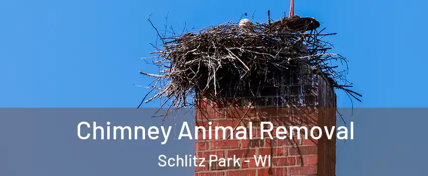 Chimney Animal Removal Schlitz Park - WI