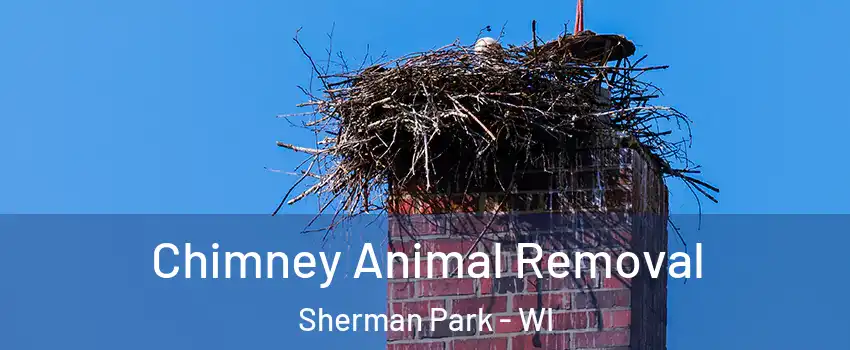 Chimney Animal Removal Sherman Park - WI