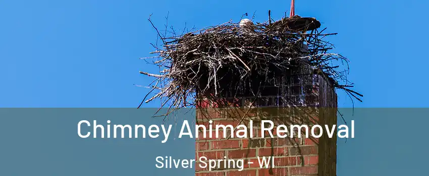 Chimney Animal Removal Silver Spring - WI