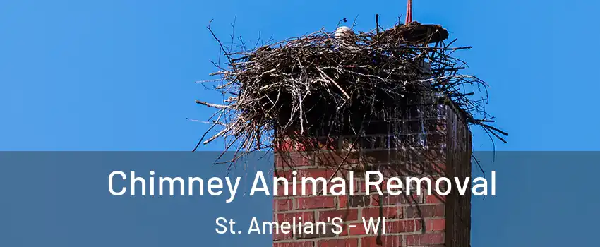 Chimney Animal Removal St. Amelian'S - WI