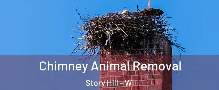 Chimney Animal Removal Story Hill - WI