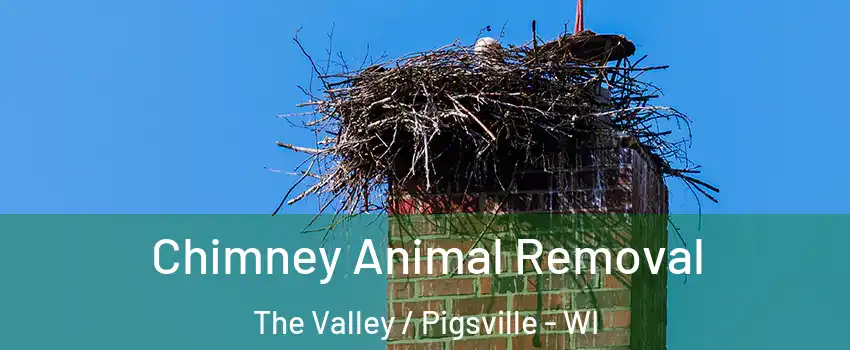 Chimney Animal Removal The Valley / Pigsville - WI