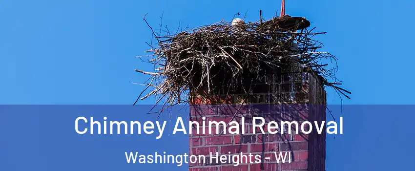 Chimney Animal Removal Washington Heights - WI