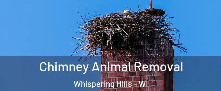 Chimney Animal Removal Whispering Hills - WI