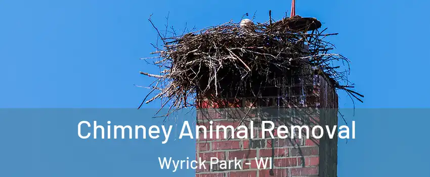 Chimney Animal Removal Wyrick Park - WI