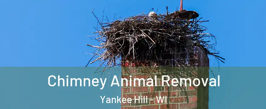 Chimney Animal Removal Yankee Hill - WI