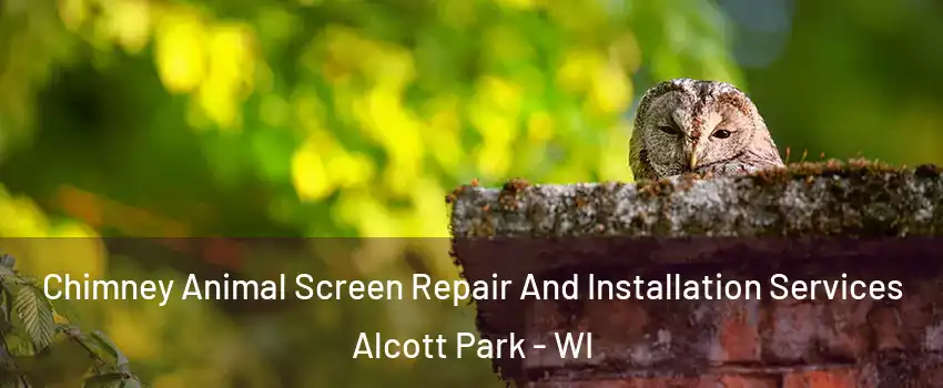 Chimney Animal Screen Repair And Installation Services Alcott Park - WI