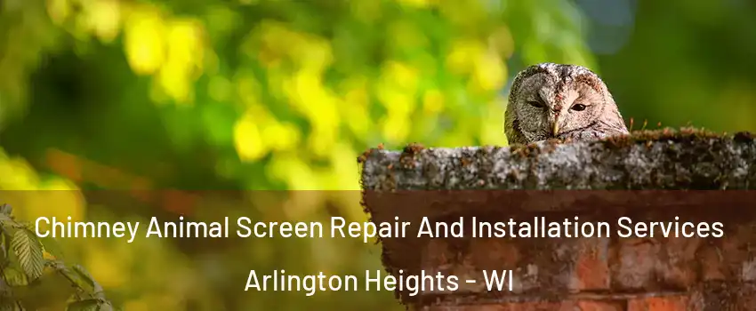 Chimney Animal Screen Repair And Installation Services Arlington Heights - WI