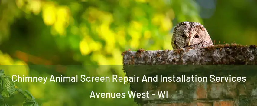 Chimney Animal Screen Repair And Installation Services Avenues West - WI