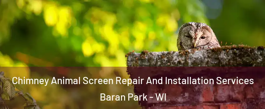 Chimney Animal Screen Repair And Installation Services Baran Park - WI