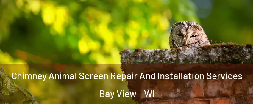 Chimney Animal Screen Repair And Installation Services Bay View - WI