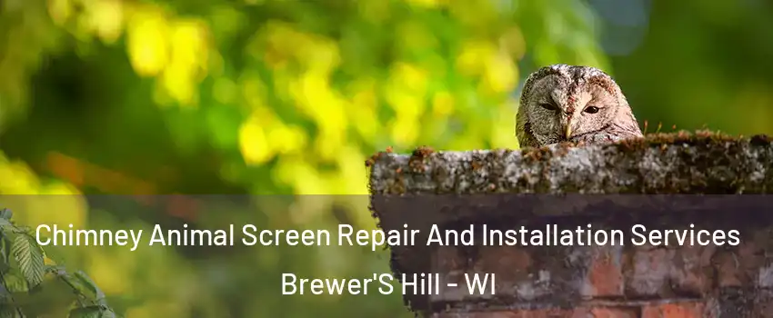 Chimney Animal Screen Repair And Installation Services Brewer'S Hill - WI