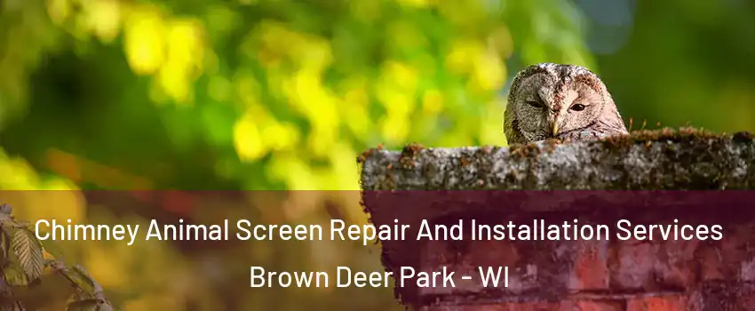 Chimney Animal Screen Repair And Installation Services Brown Deer Park - WI