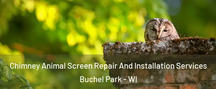 Chimney Animal Screen Repair And Installation Services Buchel Park - WI