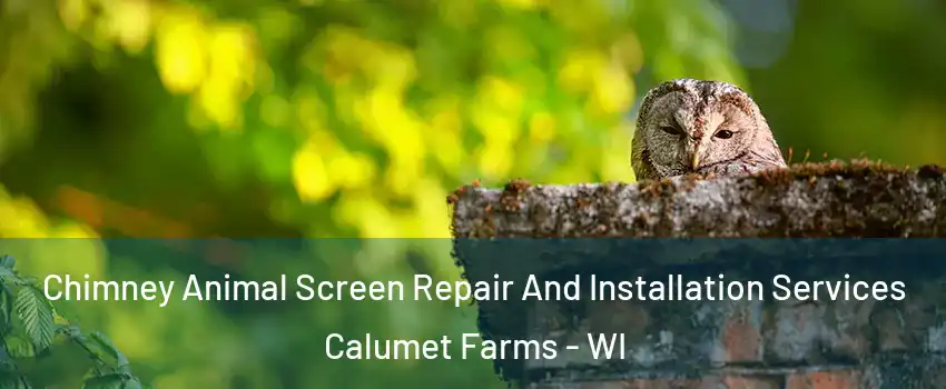 Chimney Animal Screen Repair And Installation Services Calumet Farms - WI