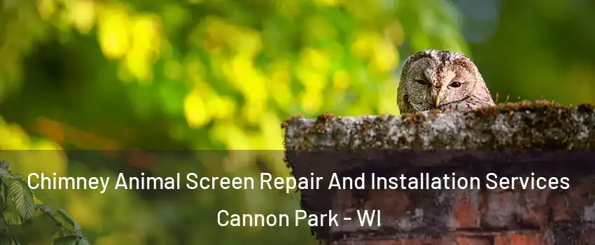 Chimney Animal Screen Repair And Installation Services Cannon Park - WI