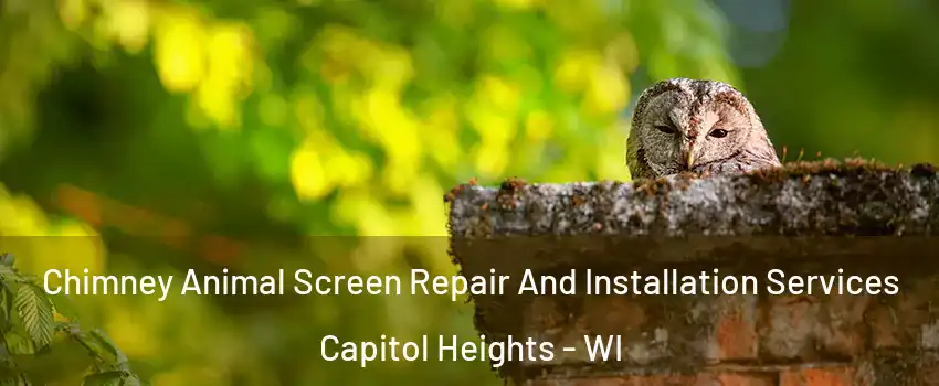 Chimney Animal Screen Repair And Installation Services Capitol Heights - WI