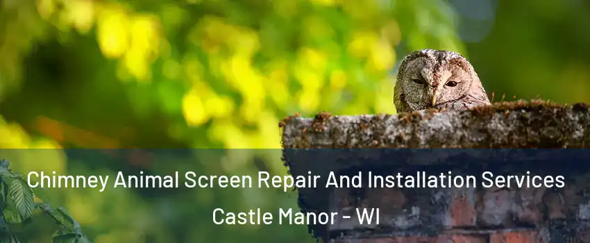 Chimney Animal Screen Repair And Installation Services Castle Manor - WI