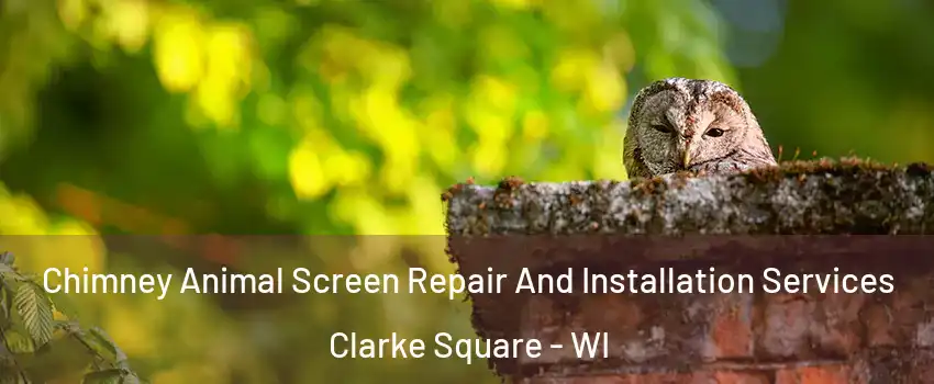 Chimney Animal Screen Repair And Installation Services Clarke Square - WI