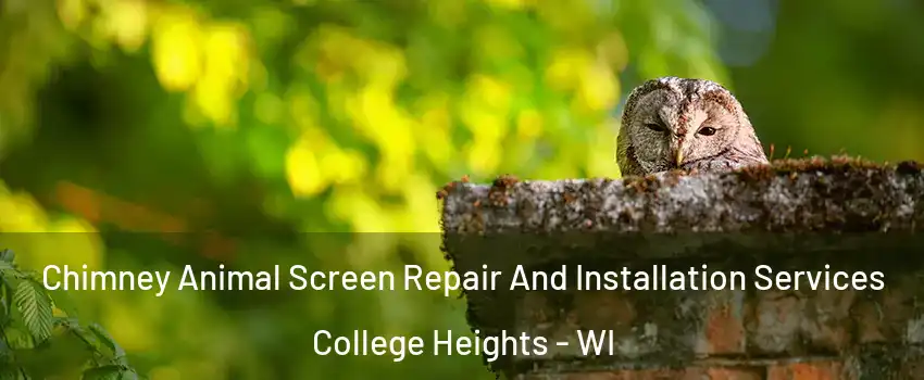 Chimney Animal Screen Repair And Installation Services College Heights - WI