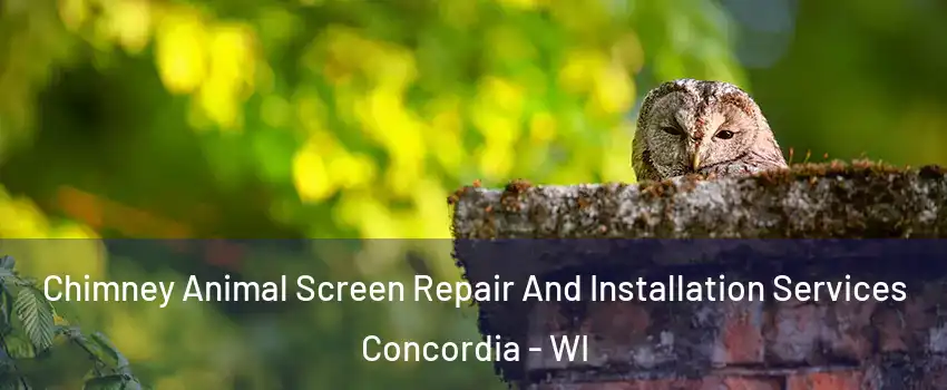 Chimney Animal Screen Repair And Installation Services Concordia - WI