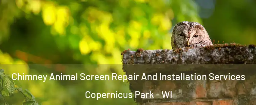 Chimney Animal Screen Repair And Installation Services Copernicus Park - WI