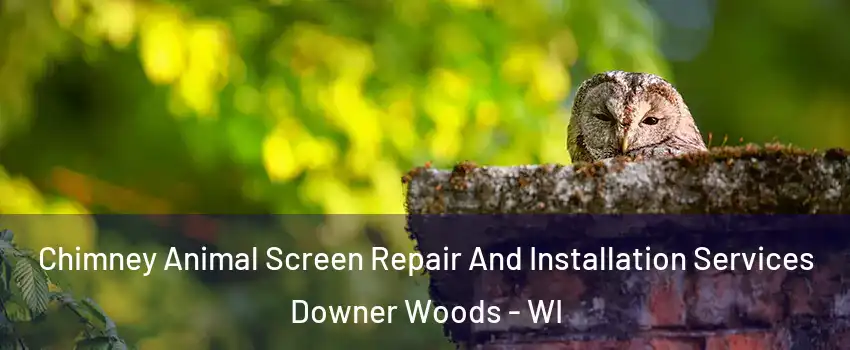 Chimney Animal Screen Repair And Installation Services Downer Woods - WI