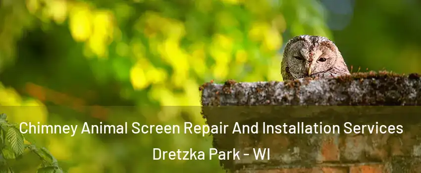 Chimney Animal Screen Repair And Installation Services Dretzka Park - WI