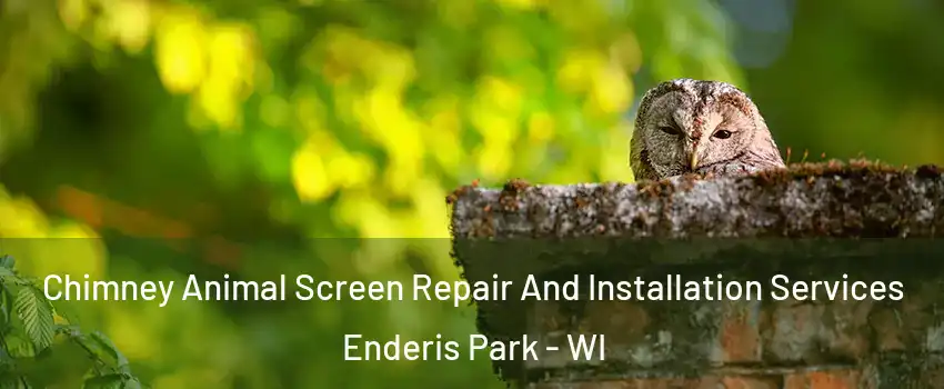 Chimney Animal Screen Repair And Installation Services Enderis Park - WI