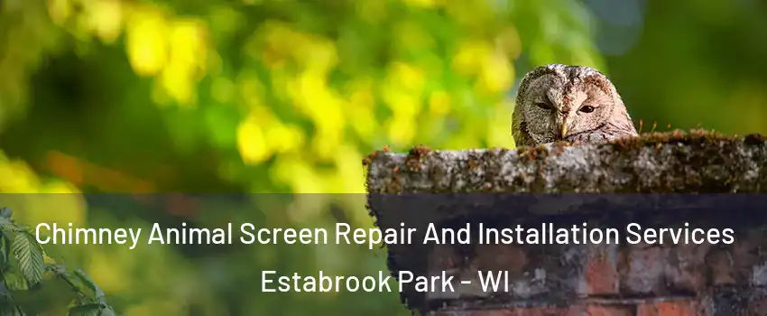 Chimney Animal Screen Repair And Installation Services Estabrook Park - WI