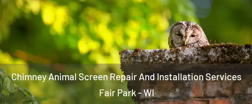 Chimney Animal Screen Repair And Installation Services Fair Park - WI