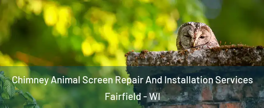 Chimney Animal Screen Repair And Installation Services Fairfield - WI