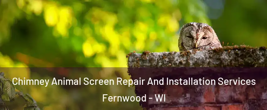 Chimney Animal Screen Repair And Installation Services Fernwood - WI