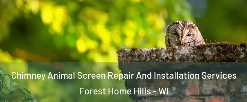 Chimney Animal Screen Repair And Installation Services Forest Home Hills - WI