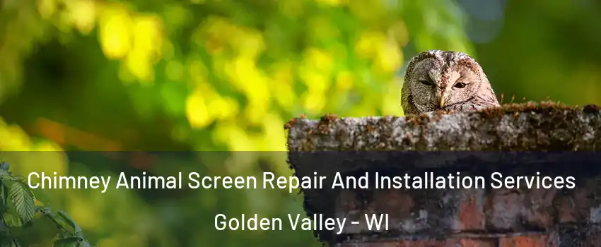 Chimney Animal Screen Repair And Installation Services Golden Valley - WI