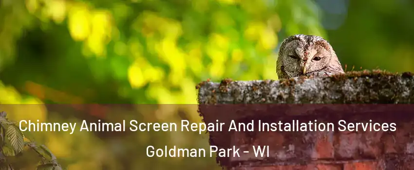 Chimney Animal Screen Repair And Installation Services Goldman Park - WI