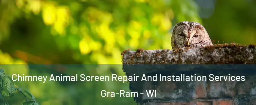 Chimney Animal Screen Repair And Installation Services Gra-Ram - WI