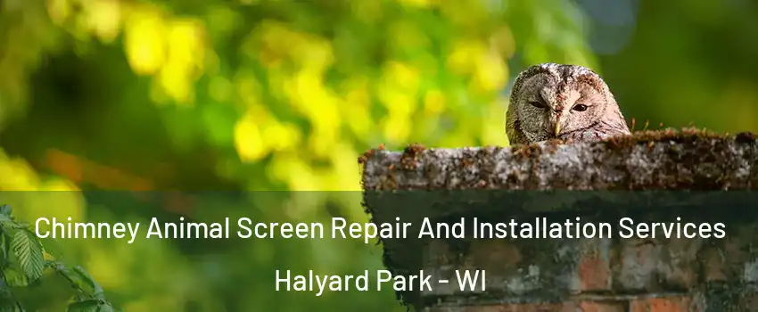 Chimney Animal Screen Repair And Installation Services Halyard Park - WI