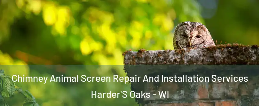 Chimney Animal Screen Repair And Installation Services Harder'S Oaks - WI