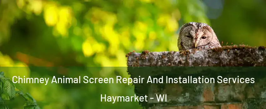 Chimney Animal Screen Repair And Installation Services Haymarket - WI