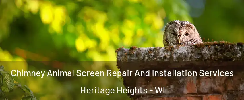 Chimney Animal Screen Repair And Installation Services Heritage Heights - WI