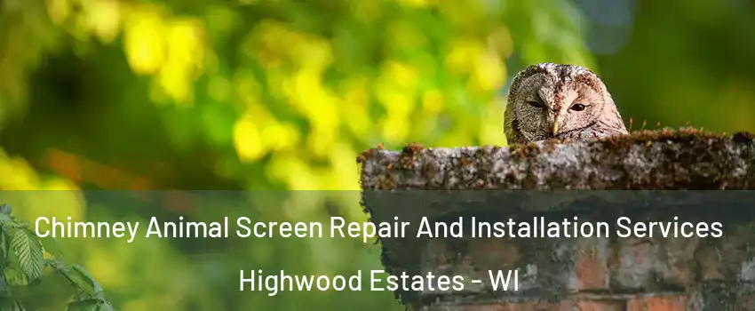 Chimney Animal Screen Repair And Installation Services Highwood Estates - WI