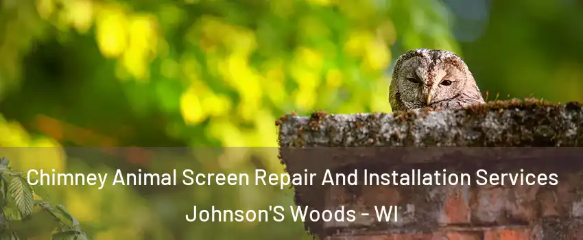 Chimney Animal Screen Repair And Installation Services Johnson'S Woods - WI