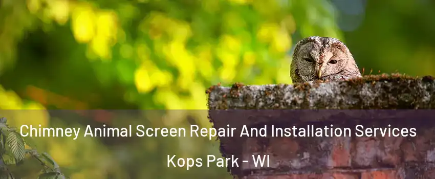 Chimney Animal Screen Repair And Installation Services Kops Park - WI